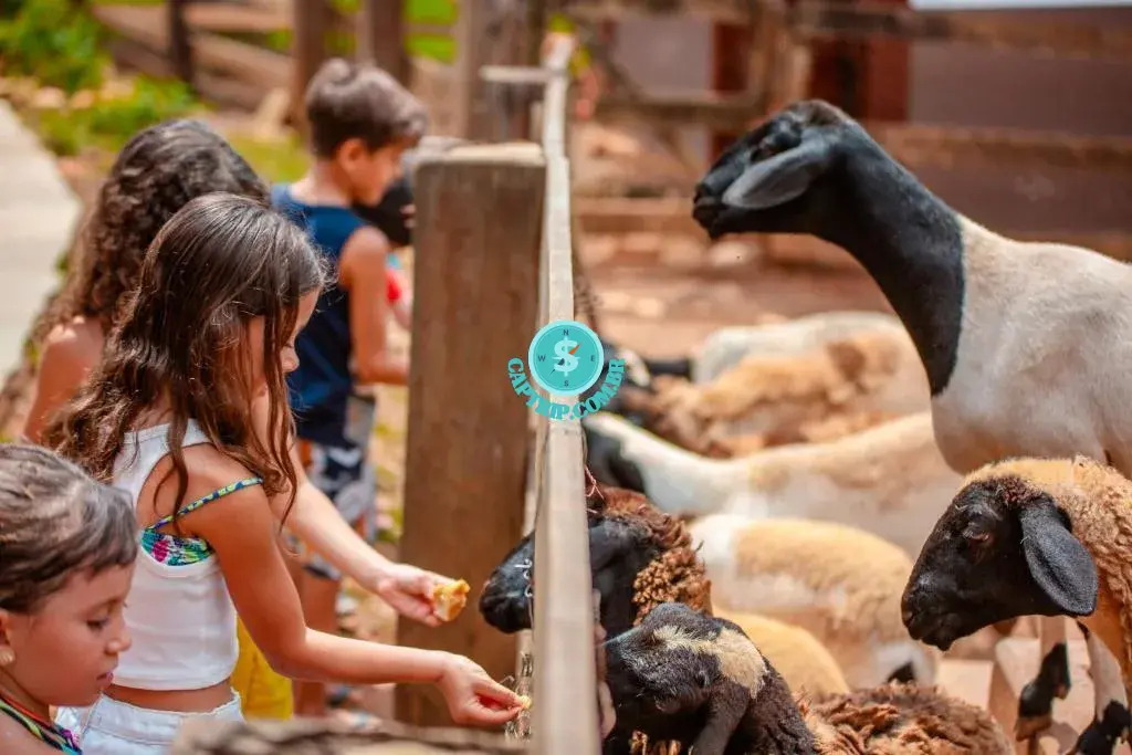 Pousada dos Pireneus em Pirenópolis Goiás